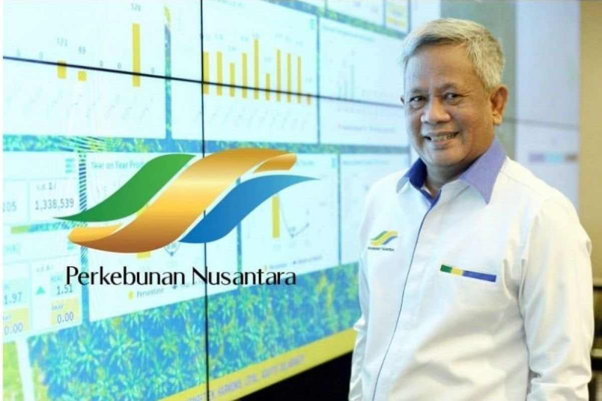 Muhammad Abdul Ghani, Direktur Utama Holding Perkebunan Nusantara